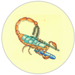 Group logo of U.S. Air Force 28th Test and Evaluation Squadron